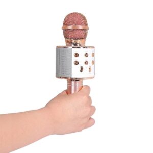 WS858 Bluetooth Wireless Handheld Karaoke Mini Mic